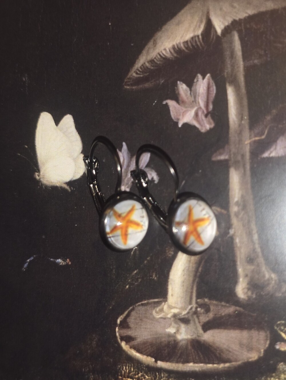 Starfish Glass Cabochons On Black Leverback Earrings